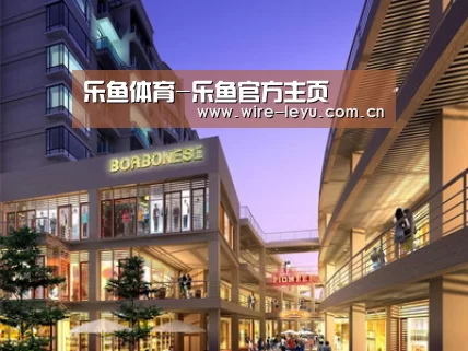 案例展示一(图1)