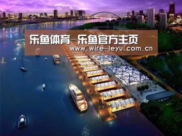 案例展示八