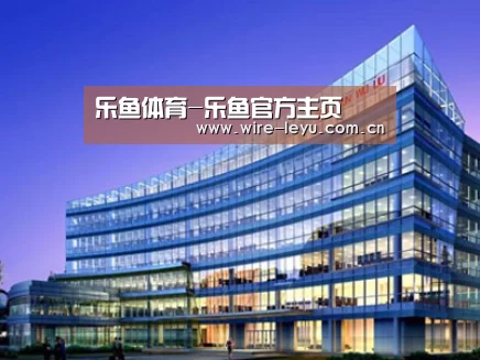 案例展示五