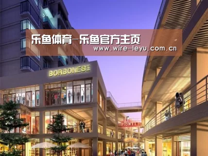 案例展示一