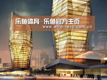 案例展示三