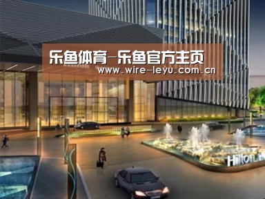 案例展示二