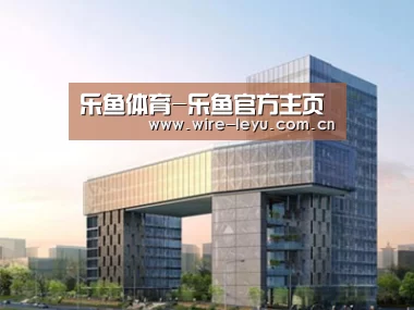 案例展示四
