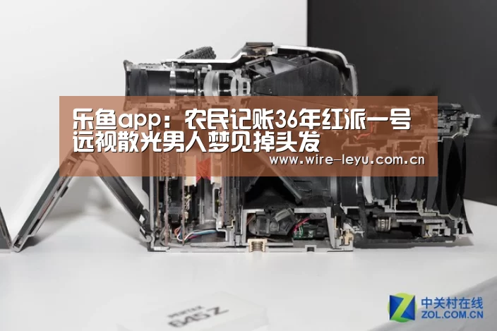 乐鱼app:农民记账36年红派一号 远视散光男人梦见掉头发(图4) 乐鱼app