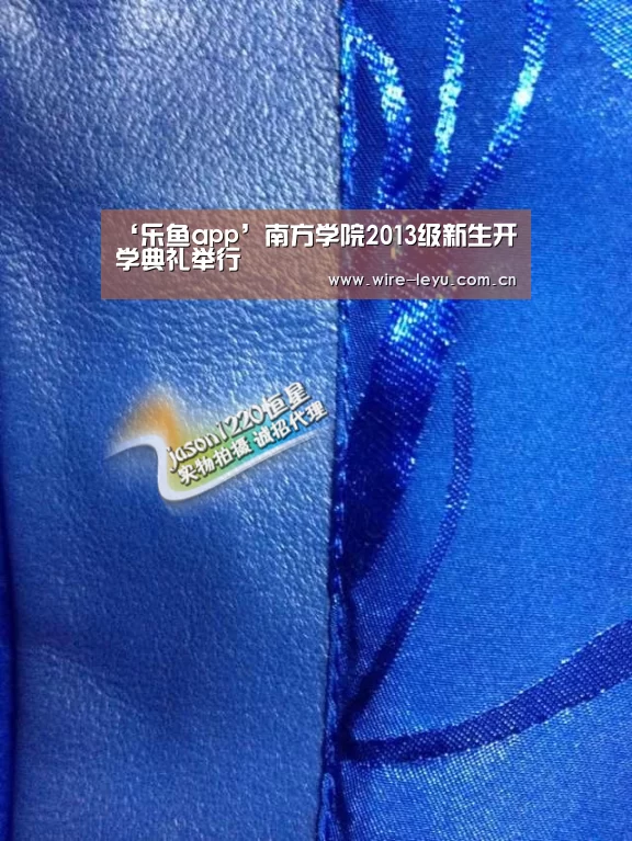 乐鱼电竞