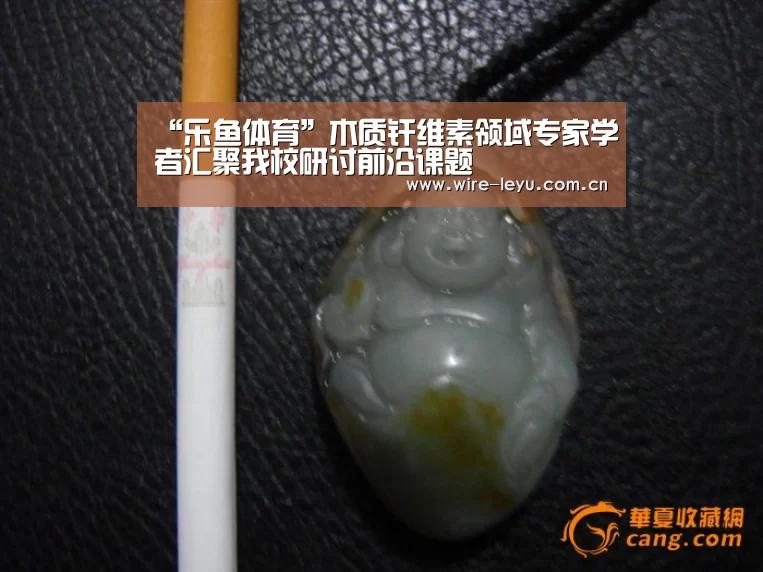 “乐鱼体育”木质纤维素领域专家学者汇聚我校研讨前沿课题(图1) 乐鱼电竞