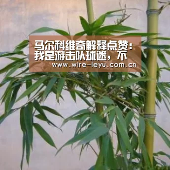 马尔科维奇解释点赞:我是游击队球迷,不会庆祝红星胜利_乐鱼体育(图4) 乐鱼体育