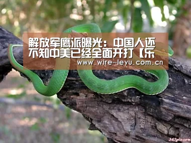 乐鱼体育