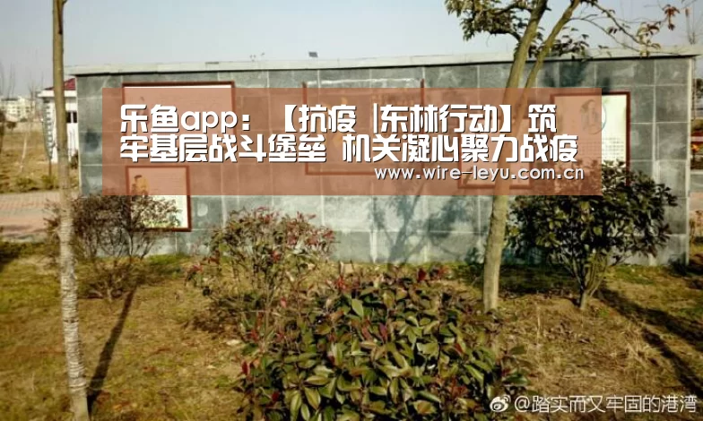 乐鱼app:【抗疫 |东林行动】筑牢基层战斗堡垒 机关凝心聚力战疫情(图1) 乐鱼体育