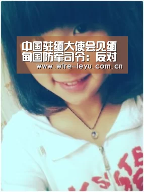 中国驻缅大使会见缅甸国防军司令:反对缅北武装袭击|乐鱼电竞(图1) 乐鱼电竞