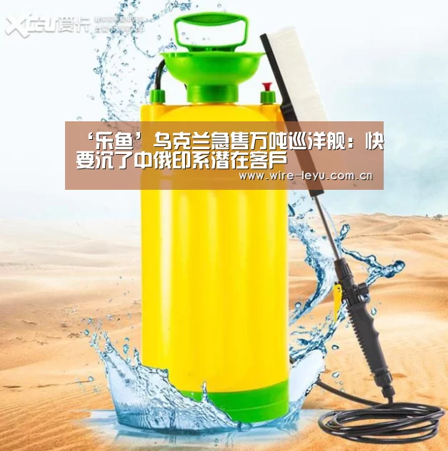 ‘乐鱼’乌克兰急售万吨巡洋舰:快要沉了中俄印系潜在客户(图1) 乐鱼app