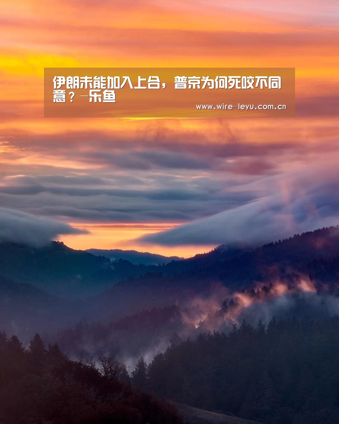 乐鱼
