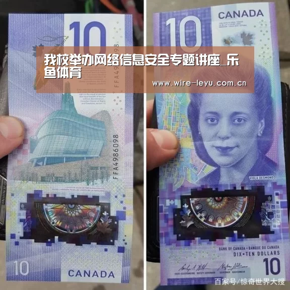 乐鱼体育