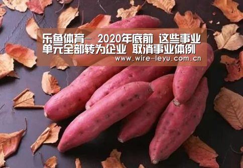 乐鱼体育-
2020年底前 这些事业单元全部转为企业 取消事业体例(图2) 乐鱼