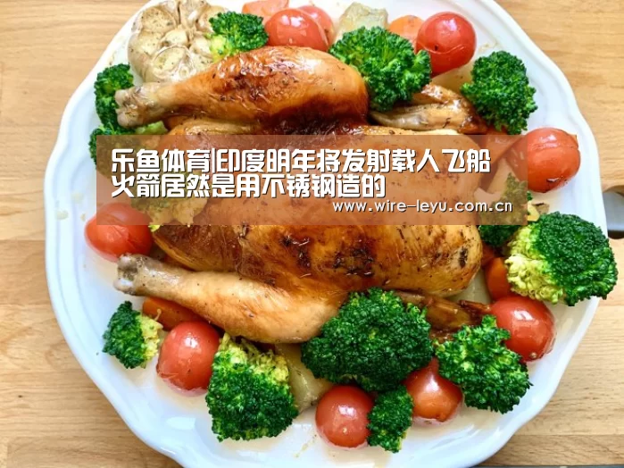 乐鱼体育|印度明年将发射载人飞船火箭居然是用不锈钢造的(图2) 乐鱼