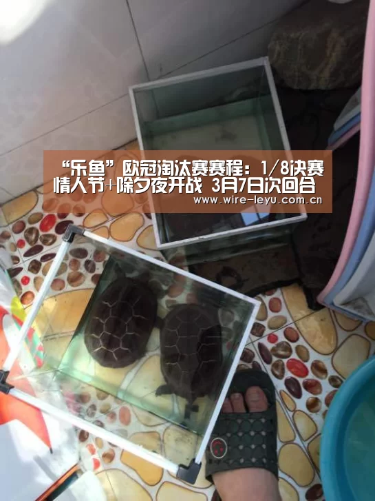 “乐鱼”欧冠淘汰赛赛程:1/8决赛情人节+除夕夜开战 3月7日次回合(图1) 乐鱼