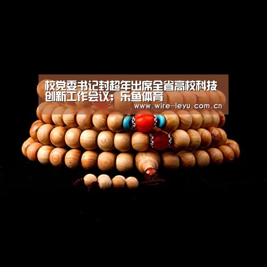 校党委书记封超年出席全省高校科技创新工作会议:乐鱼体育(图3) 乐鱼体育