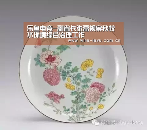 乐鱼电竞-副省长张雷视察我校水环境综合治理工作(图1) 乐鱼电竞